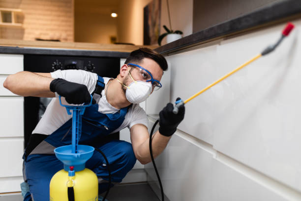 Best Bed Bug Extermination  in Harper Woods, MI