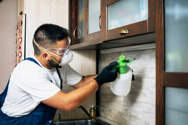Best Best Pest Control Near Me  in Harper Woods, MI