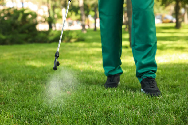 Best Termite Control Services  in Harper Woods, MI