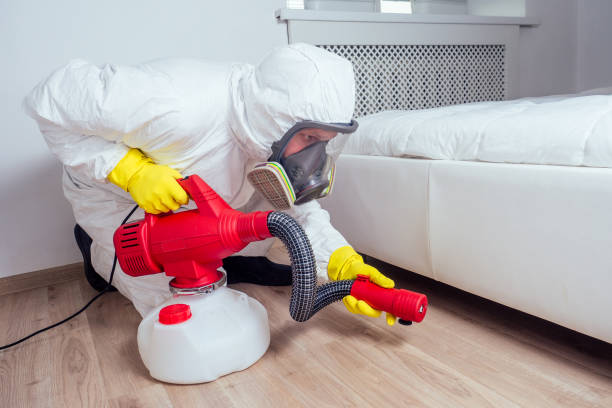 Best Insect Control  in Harper Woods, MI