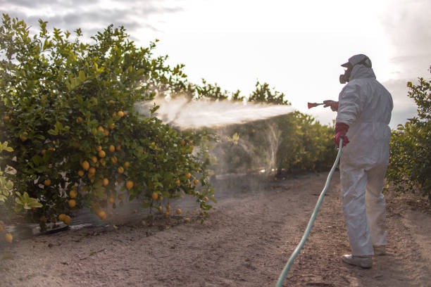 Pest Prevention Services in Harper Woods, MI