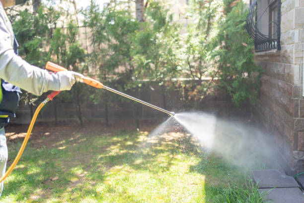 Best Affordable Pest Control Services  in Harper Woods, MI
