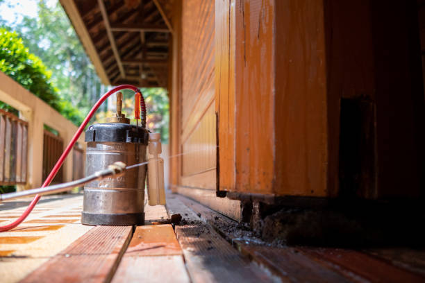 Best Pest Control for Homes  in Harper Woods, MI