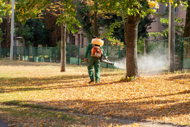 Best Rat Extermination Near Me  in Harper Woods, MI