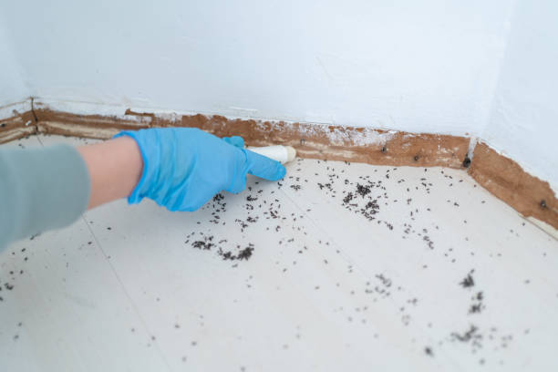 Best Wildlife Control Services  in Harper Woods, MI